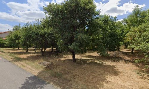 Margès – programme les chênes truffiers – En cours